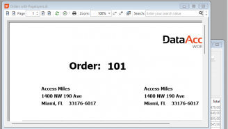 DataFlex Reports 2024 Developer (5)