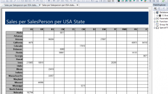 DataFlex Reports 2024 Standard (2)