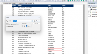 DataFlex Reports 2024 Standard (3)