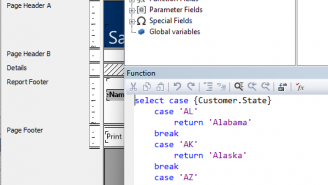 DataFlex Reports 2024 Standard (4)